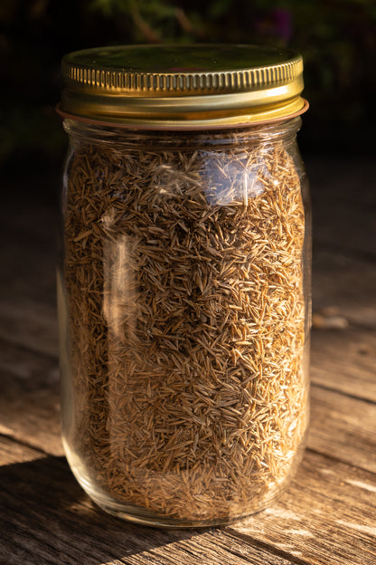 Dancing Grasses of the Western US