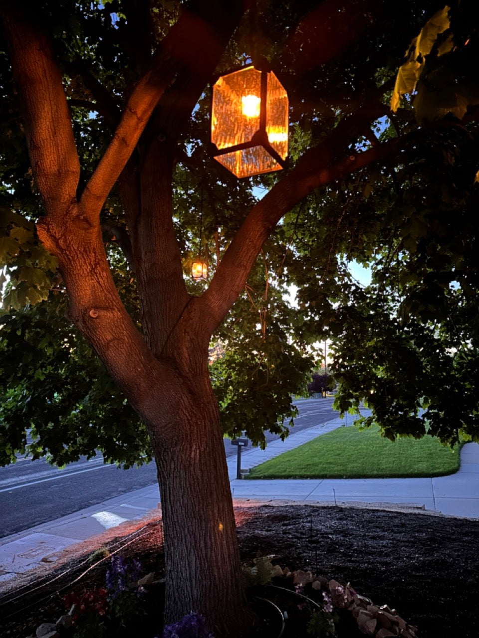 Free Landscape Lighting Consultation