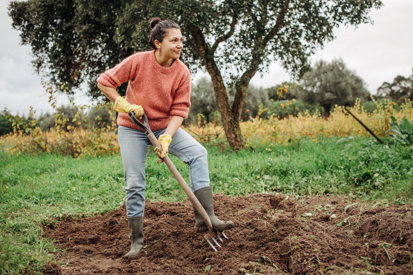 Buy a Meadow: Meadowscaping