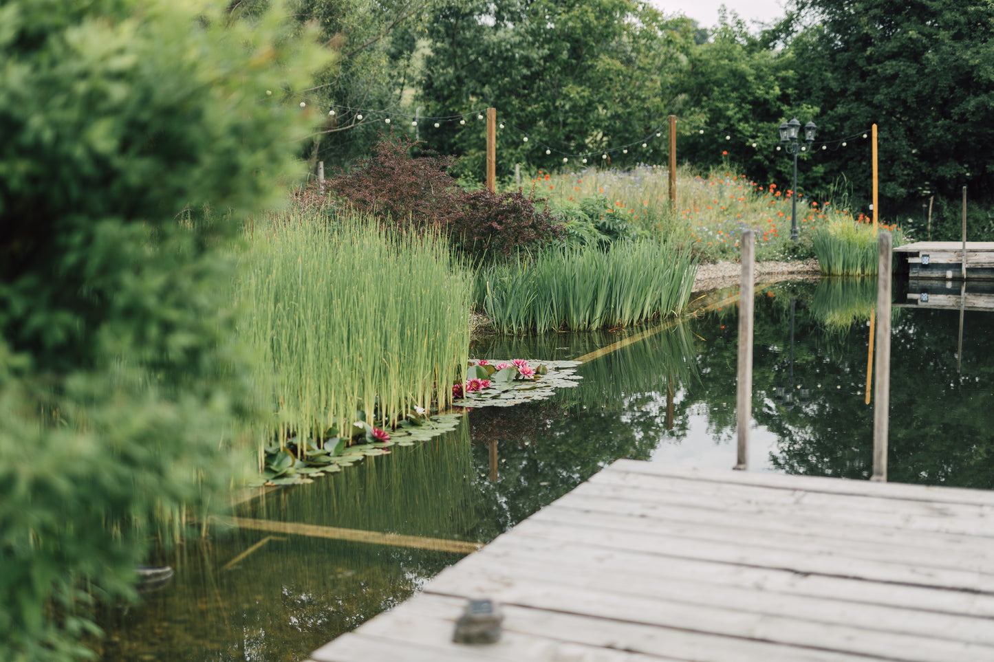 Free Consultation: Meadowscaping, Natural Pools, Pergolas, Decks, Retaining Walls & Water Features